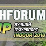 Лучший гроу-репорт Индор Jahforum Cup 2018