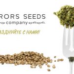 Друзья, Этот День Наступил! День Рождения Компании Error-seeds!