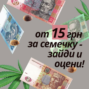 Интернет магазин семян конопли в Украине