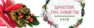 новогоднее предложение, семена конопли, девайсы для курения