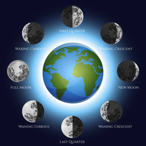 Лунные циклы и их влияниена рост каннабиса